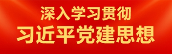 深入學(xué)習(xí)貫徹習(xí)近平黨建思想