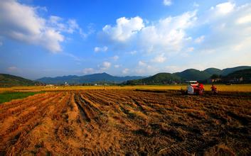 農(nóng)村土地制度改革試點(diǎn)意見出臺