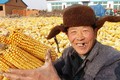 中共新一輪惠農(nóng)政策有望讓農(nóng)業(yè)成投資新洼地