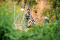 我國農村土地流轉實踐試點工作綜述