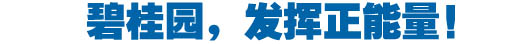 社會責任融入血液 碧桂園踐行&ldquo;中國夢&rdquo;