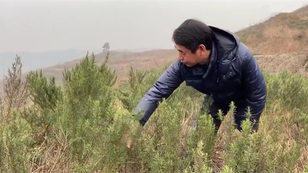 新春走基層｜脫貧后，駐村扶貧隊長在干啥？