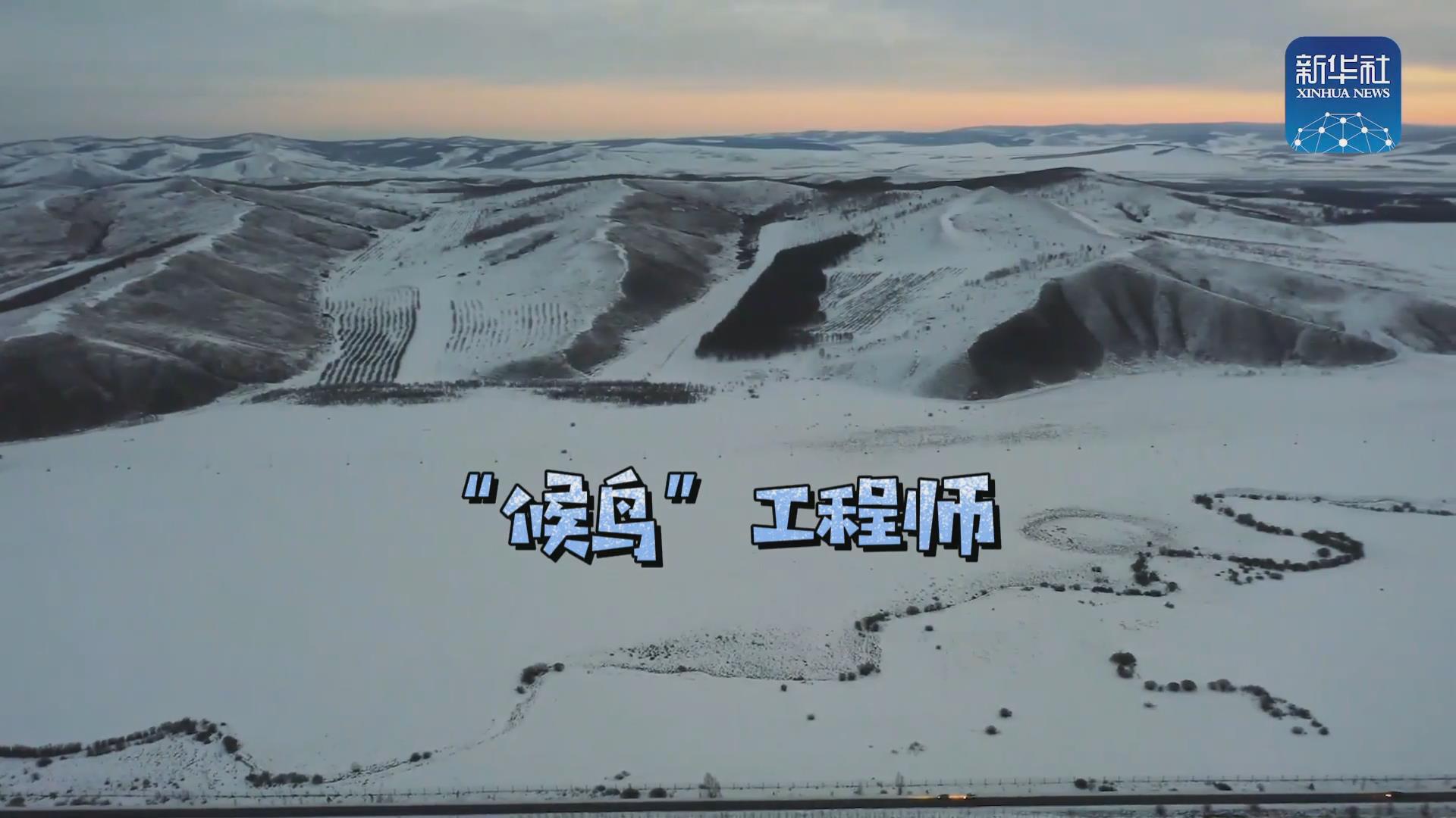 我們在奔跑丨一路向北！他是逆行的&ldquo;候鳥&rdquo;