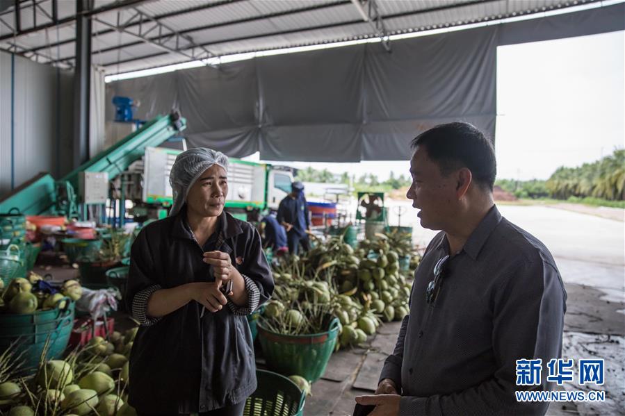 (第三屆進博會·圖文互動)(4)通訊:椰香飄進進博會 市場開放共繁榮——一名泰國椰商的心聲