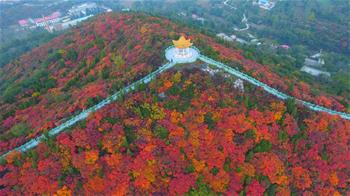 美麗中國丨紅葉&ldquo;醉&rdquo;金秋